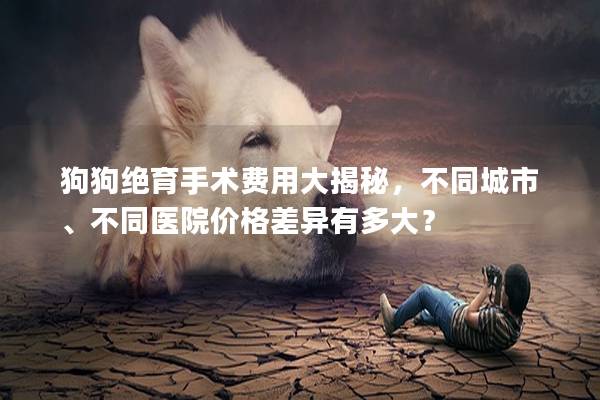 狗狗绝育手术费用大揭秘，不同城市、不同医院价格差异有多大？