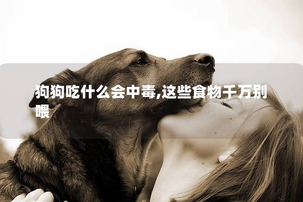 狗狗吃什么会中毒,这些食物千万别喂