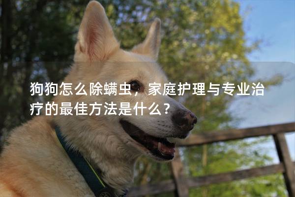 狗狗怎么除螨虫，家庭护理与专业治疗的最佳方法是什么？