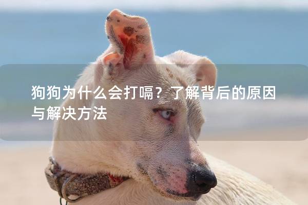 狗狗为什么会打嗝？了解背后的原因与解决方法