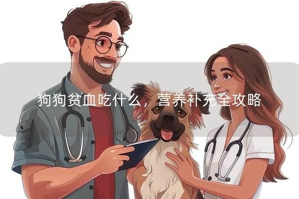 狗狗贫血吃什么，营养补充全攻略