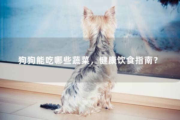 狗狗能吃哪些蔬菜，健康饮食指南？