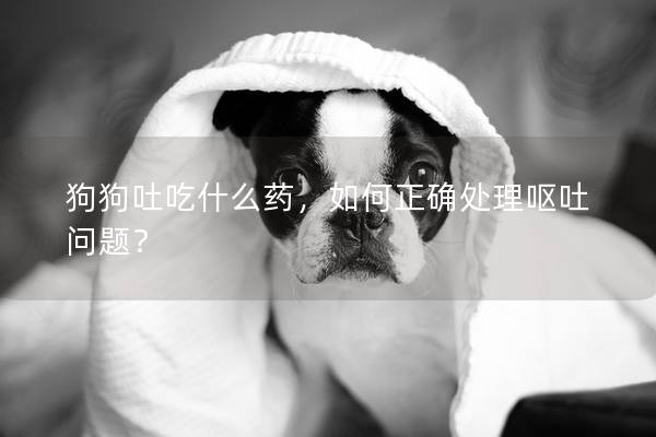 狗狗吐吃什么药，如何正确处理呕吐问题？