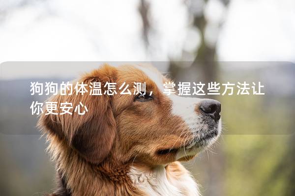 狗狗的体温怎么测，掌握这些方法让你更安心