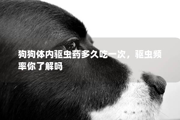 狗狗体内驱虫药多久吃一次，驱虫频率你了解吗