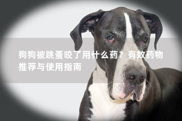 狗狗被跳蚤咬了用什么药？有效药物推荐与使用指南