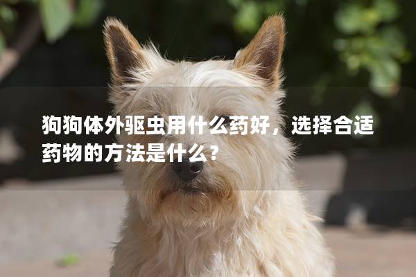 狗狗体外驱虫用什么药好，选择合适药物的方法是什么？