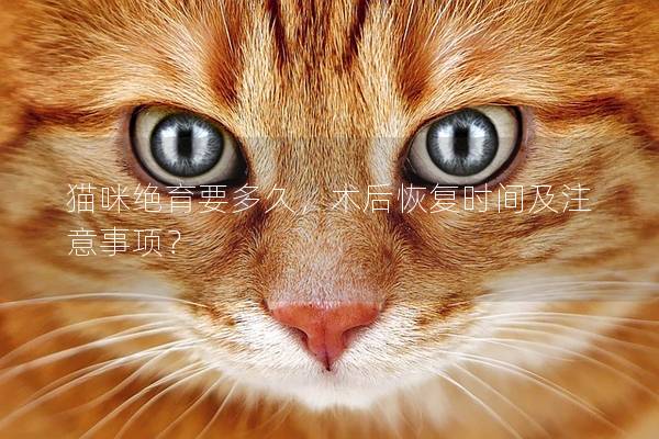 猫咪绝育要多久，术后恢复时间及注意事项？