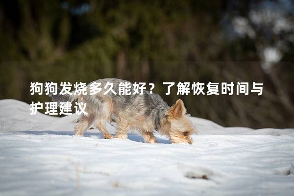 狗狗发烧多久能好？了解恢复时间与护理建议