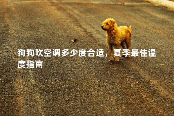 狗狗吹空调多少度合适，夏季最佳温度指南