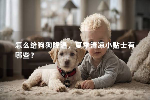 怎么给狗狗降温，夏季清凉小贴士有哪些？