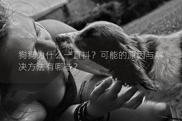 狗狗为什么一直抖？可能的原因与解决方法有哪些？