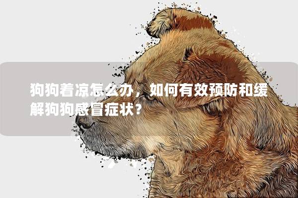 狗狗着凉怎么办，如何有效预防和缓解狗狗感冒症状？