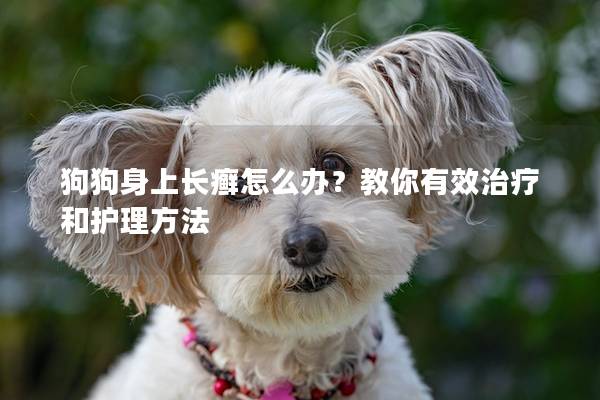 狗狗身上长癣怎么办？教你有效治疗和护理方法