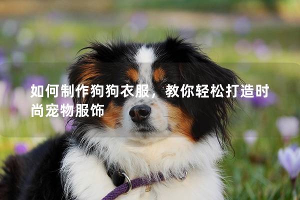 如何制作狗狗衣服，教你轻松打造时尚宠物服饰