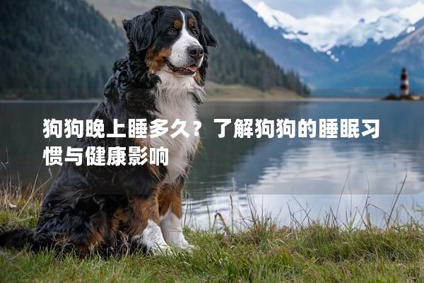 狗狗晚上睡多久？了解狗狗的睡眠习惯与健康影响