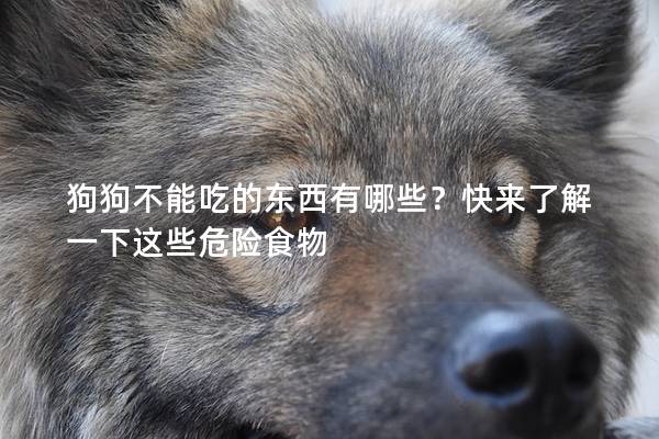 狗狗不能吃的东西有哪些？快来了解一下这些危险食物