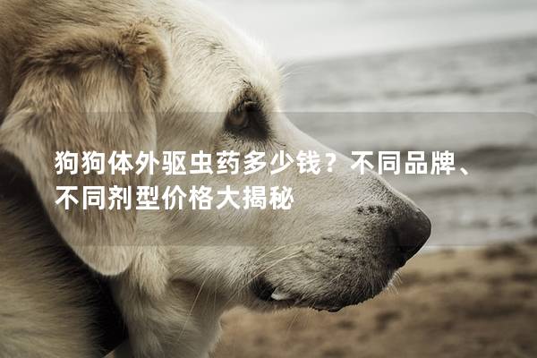 狗狗体外驱虫药多少钱？不同品牌、不同剂型价格大揭秘