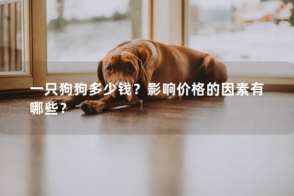 一只狗狗多少钱？影响价格的因素有哪些？