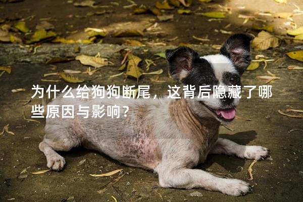 为什么给狗狗断尾，这背后隐藏了哪些原因与影响？