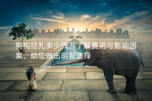狗狗结扎多少钱？了解费用与影响因素，助您做出明智选择