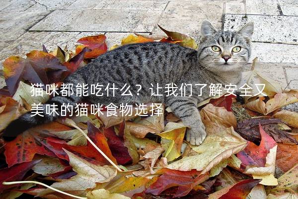 猫咪都能吃什么？让我们了解安全又美味的猫咪食物选择