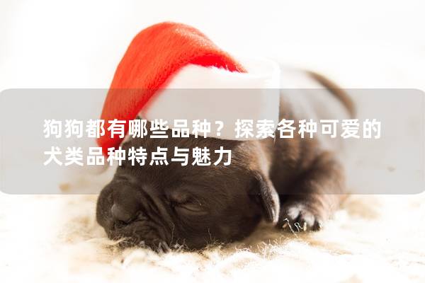 狗狗都有哪些品种？探索各种可爱的犬类品种特点与魅力