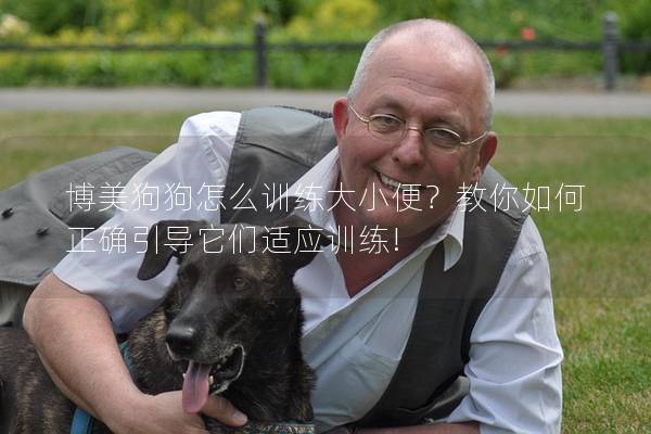 博美狗狗怎么训练大小便？教你如何正确引导它们适应训练!