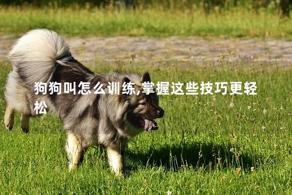 狗狗叫怎么训练,掌握这些技巧更轻松