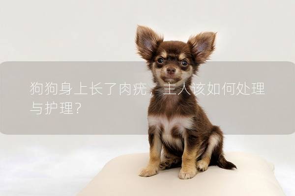狗狗身上长了肉疣，主人该如何处理与护理？