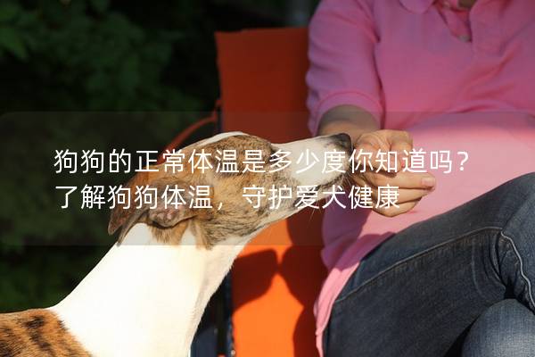 狗狗的正常体温是多少度你知道吗？了解狗狗体温，守护爱犬健康