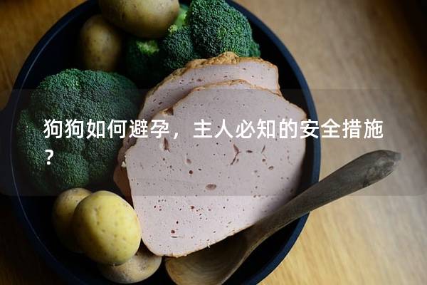 狗狗如何避孕，主人必知的安全措施？