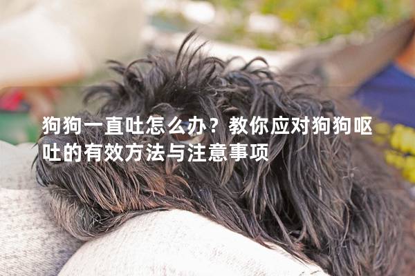 狗狗一直吐怎么办？教你应对狗狗呕吐的有效方法与注意事项