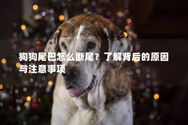 狗狗尾巴怎么断尾？了解背后的原因与注意事项
