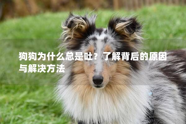 狗狗为什么总是吐？了解背后的原因与解决方法