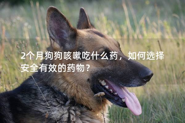 2个月狗狗咳嗽吃什么药，如何选择安全有效的药物？