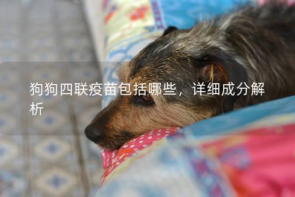 狗狗四联疫苗包括哪些，详细成分解析