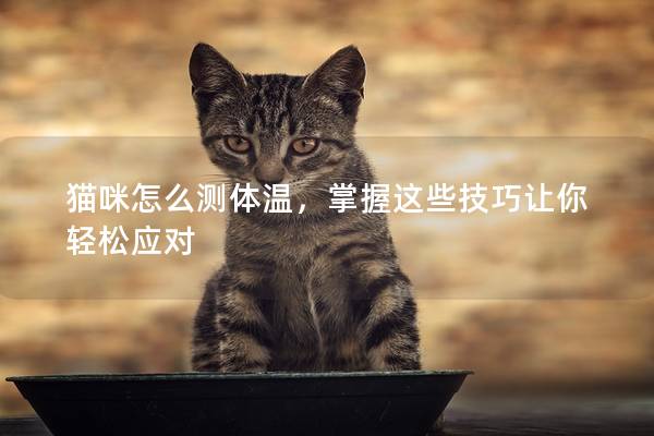 猫咪怎么测体温，掌握这些技巧让你轻松应对