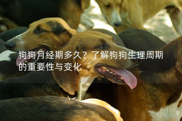 狗狗月经期多久？了解狗狗生理周期的重要性与变化
