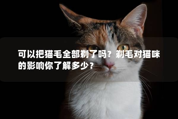 可以把猫毛全部剃了吗？剃毛对猫咪的影响你了解多少？
