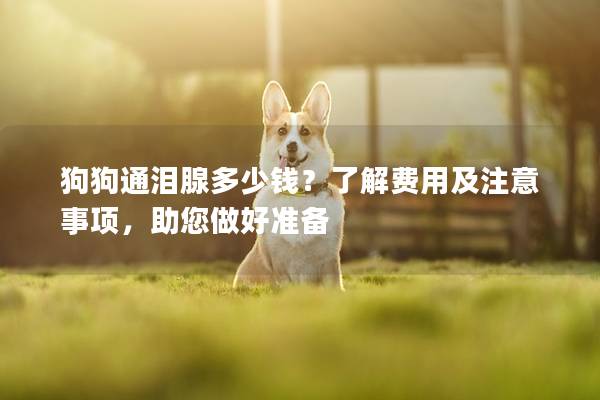 狗狗通泪腺多少钱？了解费用及注意事项，助您做好准备