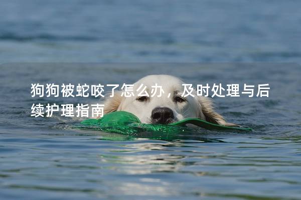 狗狗被蛇咬了怎么办，及时处理与后续护理指南