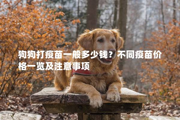 狗狗打疫苗一般多少钱？不同疫苗价格一览及注意事项