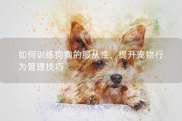 如何训练狗狗的服从性，提升宠物行为管理技巧