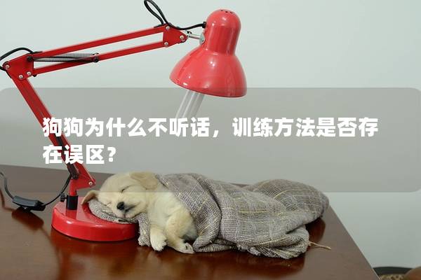 狗狗为什么不听话，训练方法是否存在误区？