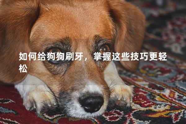 如何给狗狗刷牙，掌握这些技巧更轻松