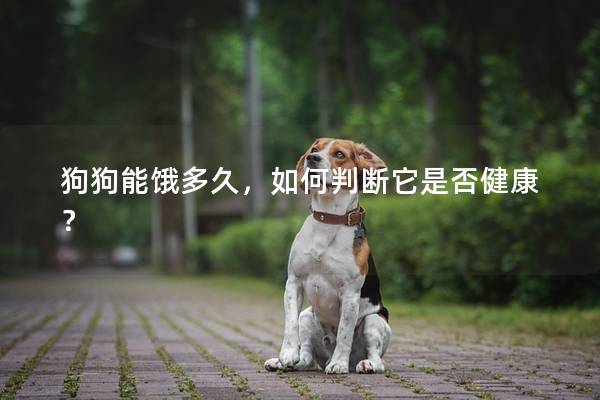狗狗能饿多久，如何判断它是否健康？
