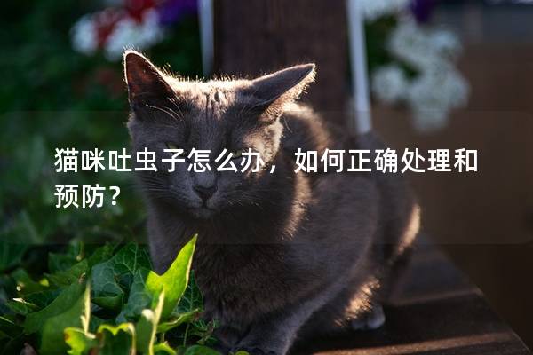 猫咪吐虫子怎么办，如何正确处理和预防？