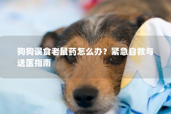 狗狗误食老鼠药怎么办？紧急自救与送医指南