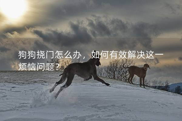 狗狗挠门怎么办，如何有效解决这一烦恼问题？